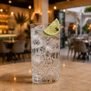 Authentic Gin Tonic at Toranj Persian Restaurant Marbella Spain